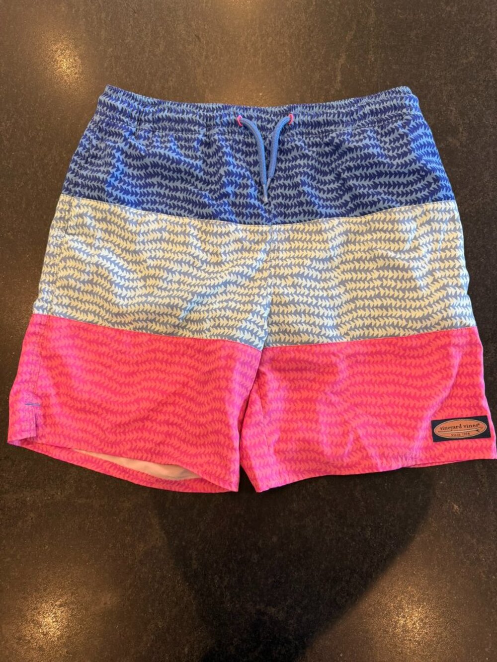 Vineyard Vines Boys L (16) Swim Trunks Blue Pink Colorblock Board Shorts